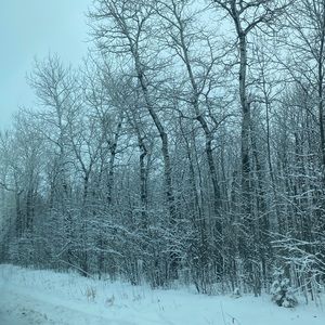 Meet your Posher, Brooklyn